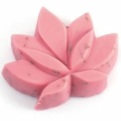 Les meilleures critiques de 🧨 Graine Créative Moule Savon Mini Moule Thermoformé - Fleur De Lotus - 7 X 6 Cm 🤩 5 Les meilleures critiques de 🧨 Graine Créative Moule Savon Mini Moule Thermoformé - Fleur De Lotus - 7 X 6 Cm 🤩 -Boutique Eberhard Faber unnamed file 185